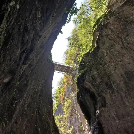 Appartement Pri Damijanu