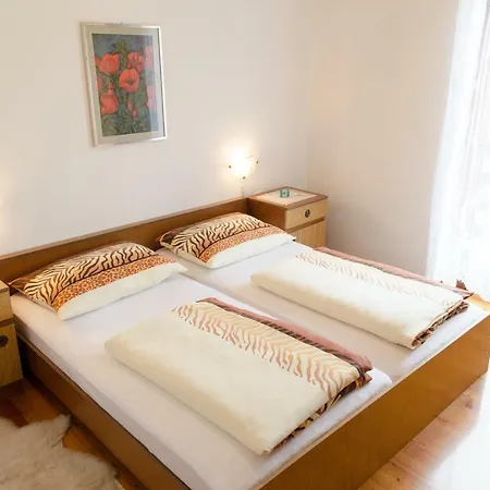 Apartment Pri Damijanu *