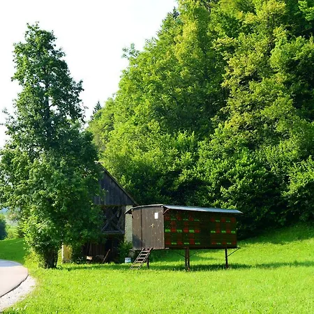 Appartement Pri Damijanu *