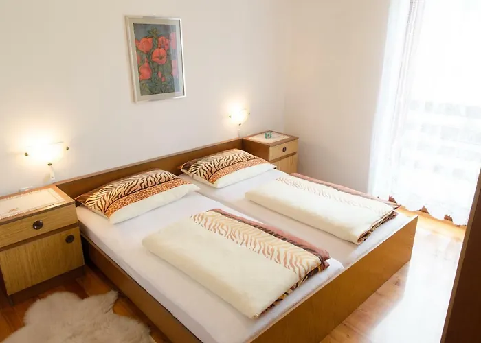 公寓 Pri Damijanu *