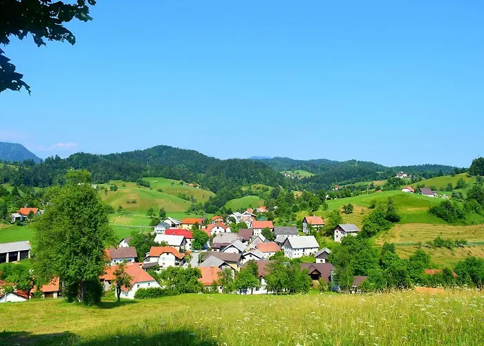 Pri Damijanu 公寓 *